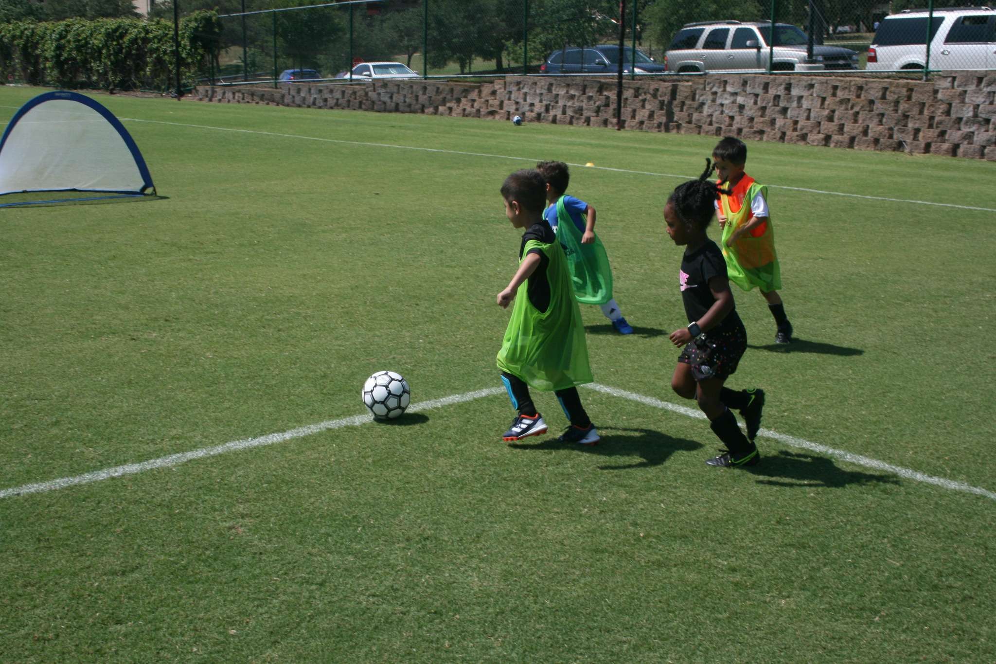 June 2024 Half Day Camp  event image